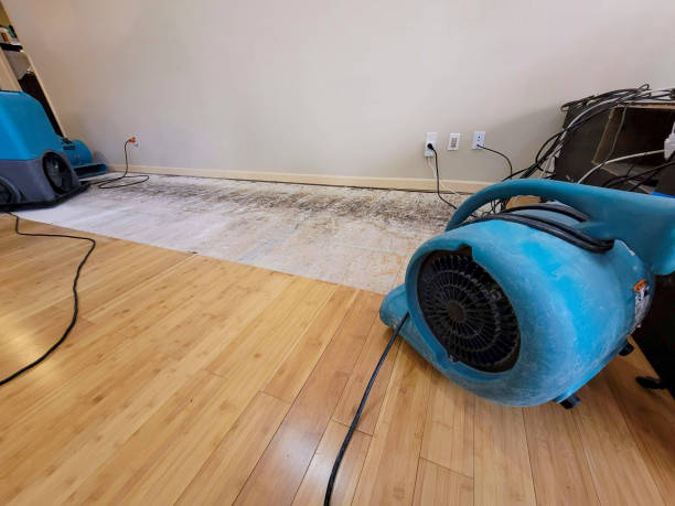 Professional Water Damage Repair technician working in New Albany, IN